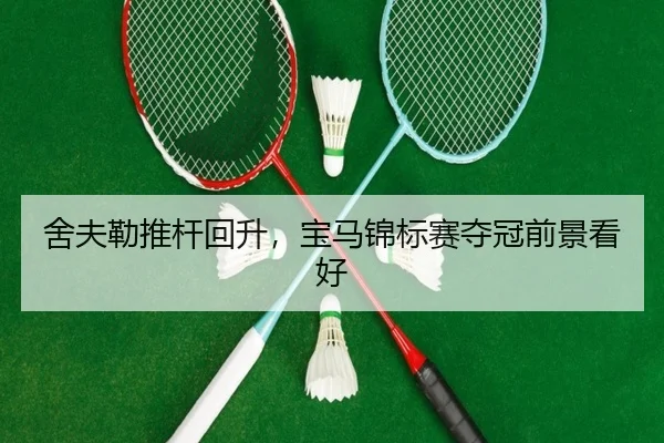 she-fu-lei-tui-gan-hui-sheng-bao-ma-jin-biao-sai-duo-guan-qian-jing-kan-hao-3-981.jpg