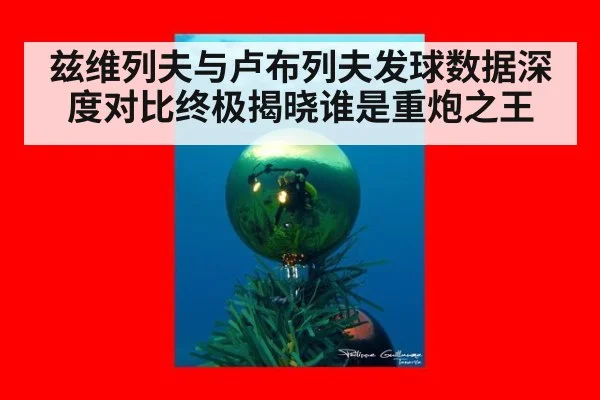 兹维列夫与卢布列夫发球数据深度对比终极揭晓谁是重炮之王