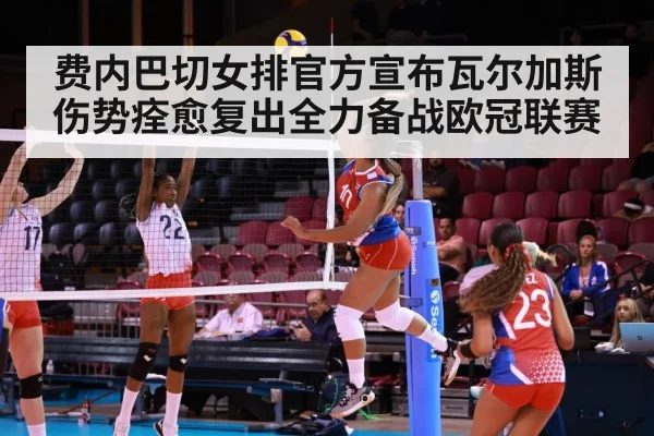 费内巴切女排官方宣布瓦尔加斯伤势痊愈复出全力备战欧冠联赛